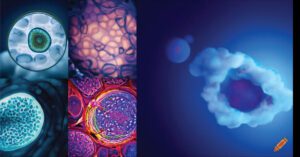 microscopy_in_the_cloud 1