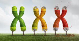 telomere seasons