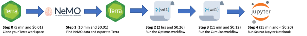 Main steps in workshop: Import an example 10x dataset (FASTQs) from NeMO; Align example 10x FASTQs and produce a raw count matrix with quality metrics using the Optimus workflow; Filter, normalize, and cluster the raw count matrix with the Cumulus workflow; Explore single-cell data in a Seurat Jupyter Notebook