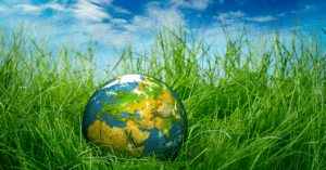 Globe_in_the_grass
