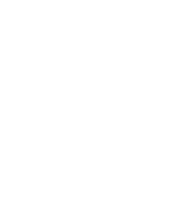 Terra White logo