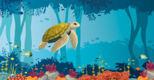 turtle2 OG
